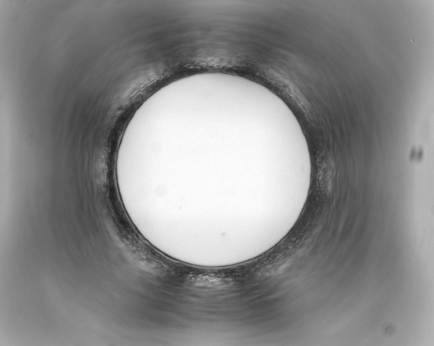 X0000093100635200710241222