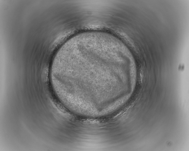 X0000093100640200710241222