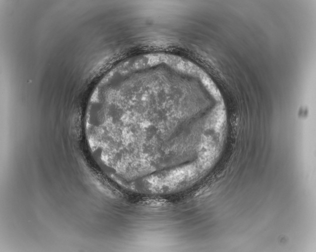 X0000093100642200710241222