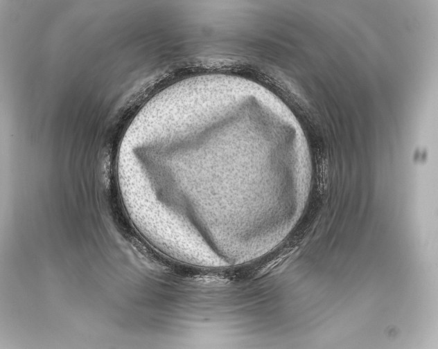 X0000093100644200710241222