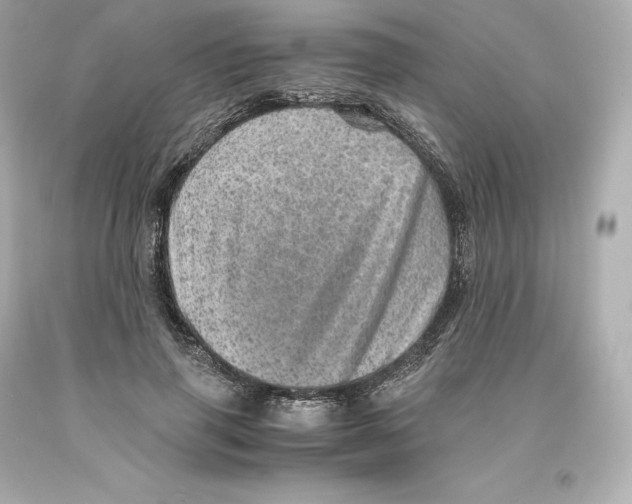 X0000093100645200710241222