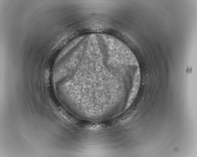 X0000093100646200710241222