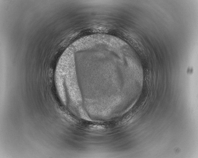 X0000093100649200710241222