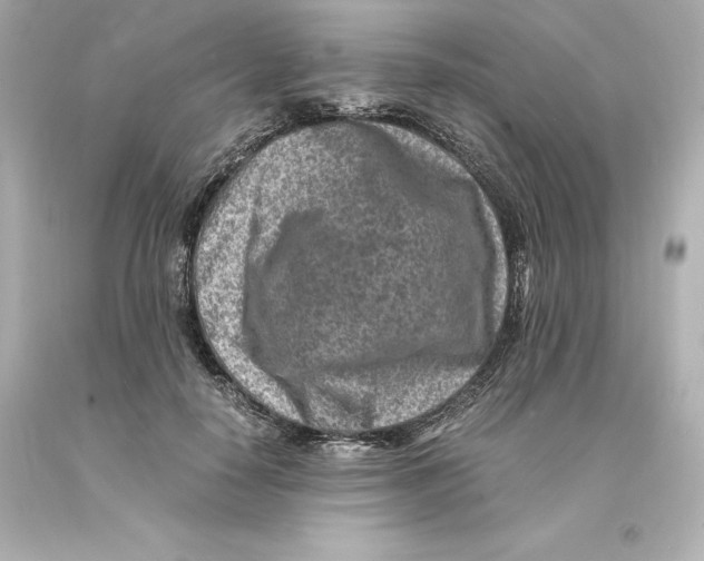 X0000093100650200710241222