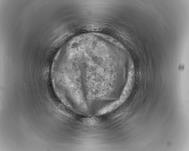 X0000093100652200710241222