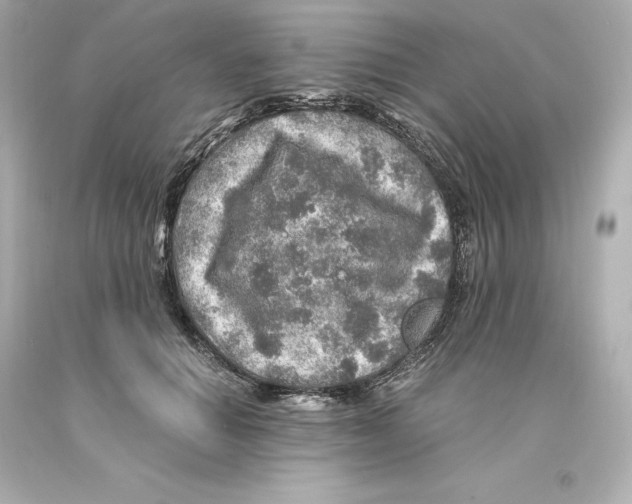 X0000093100654200710241222