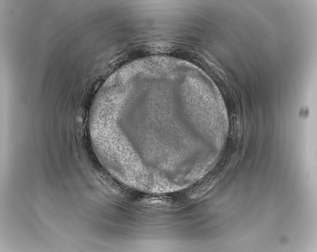 X0000093100655200710241222