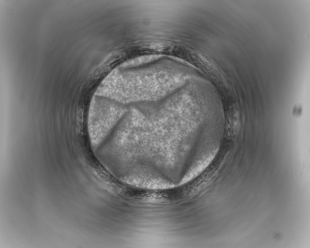 X0000093100656200710241222