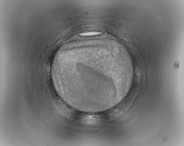 X0000093100657200710241222