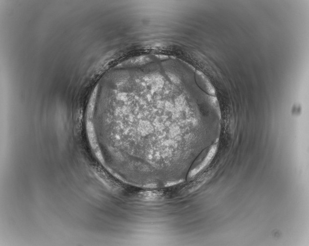 X0000093100660200710241222