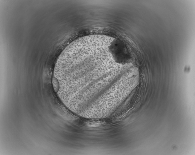 X0000093100661200710241222