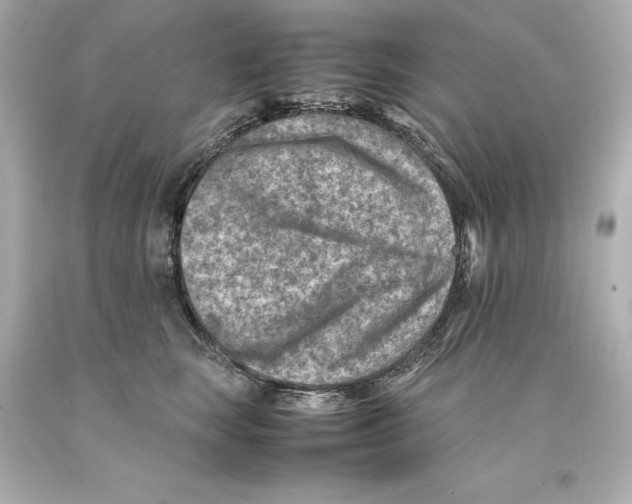 X0000093100663200710241222