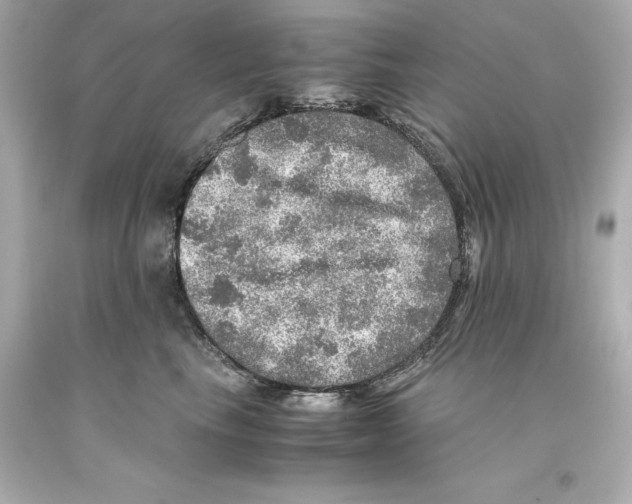 X0000093100665200710241222