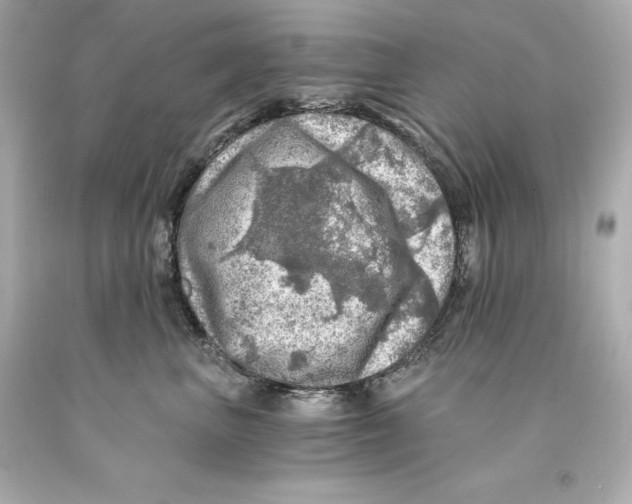 X0000093100667200710241222