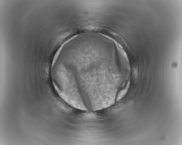 X0000093100668200710241222