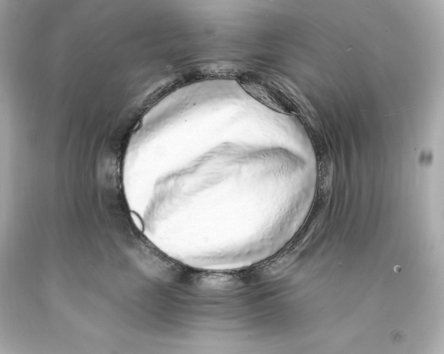 X0000093100669200710241222