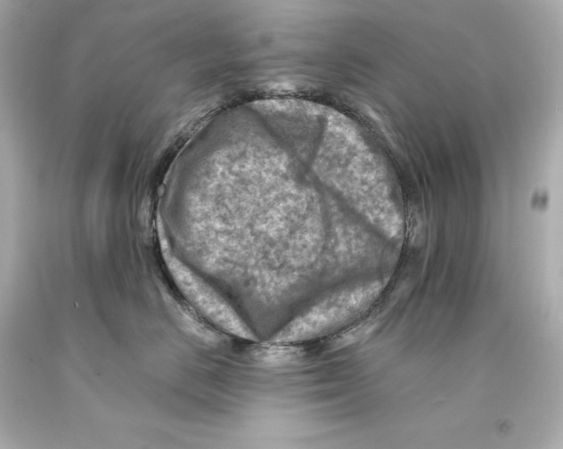X0000093100670200710241222