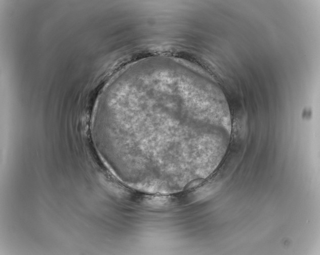 X0000093100671200710241222