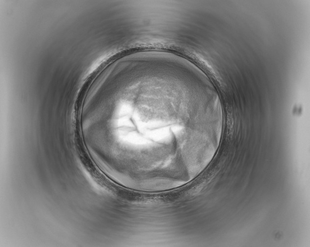 X0000093100674200710241221