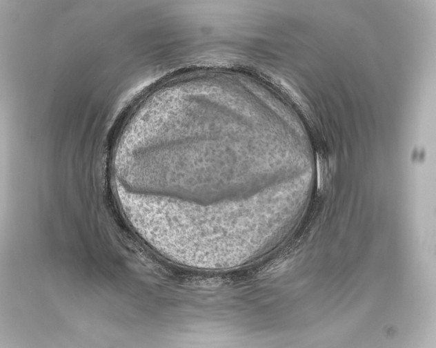 X0000093100675200710241221
