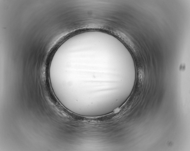 X0000093100676200710241221