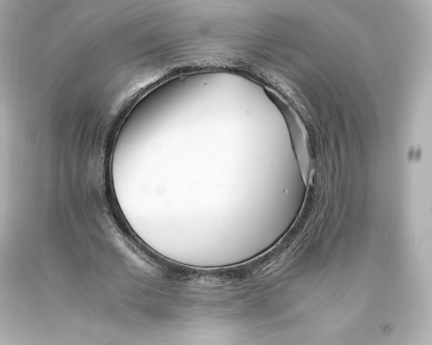 X0000093100677200710241221