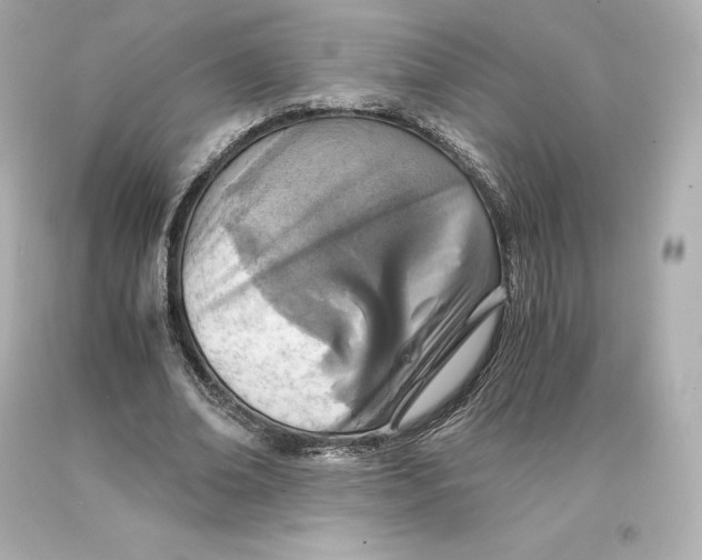 X0000093100678200710241221