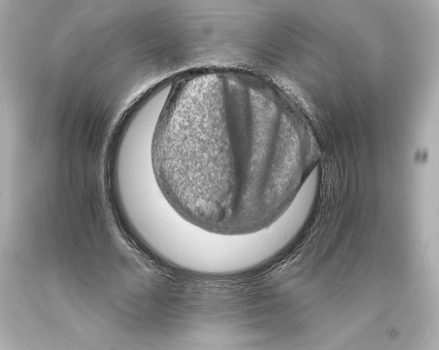 X0000093100680200710241221