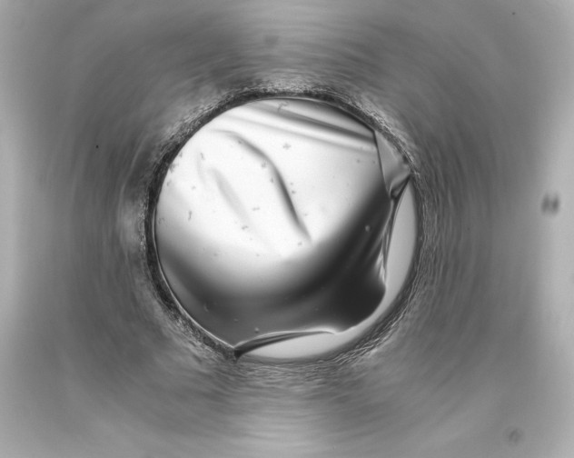 X0000093100681200710241221
