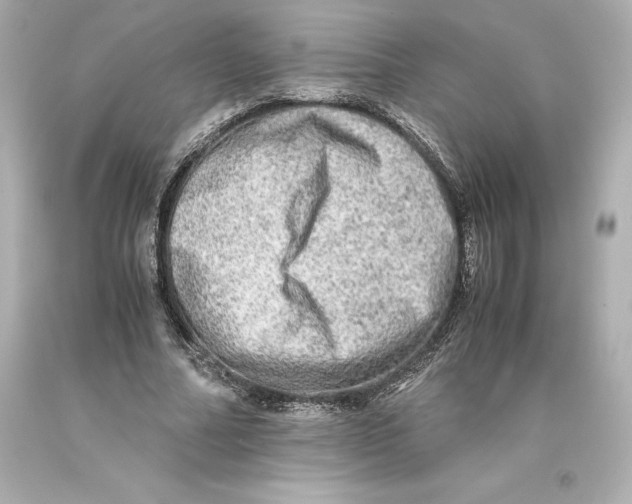 X0000093100682200710241221