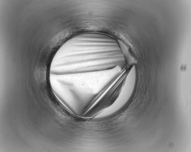 X0000093100685200710241221