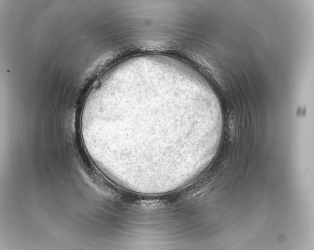 X0000093100686200710241221