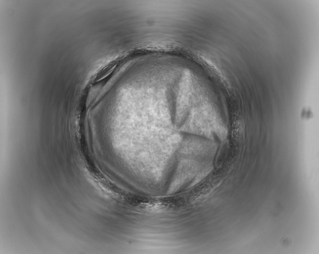 X0000093100688200710241221