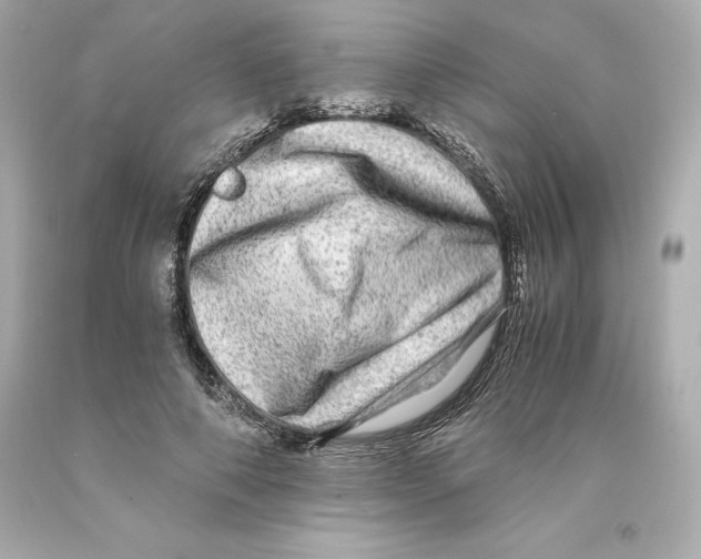 X0000093100690200710241221