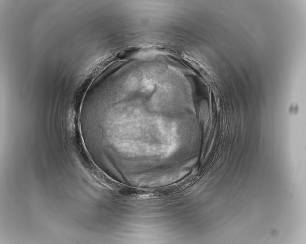 X0000093100692200710241221