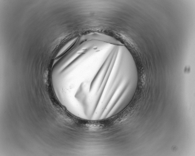 X0000093100693200710241221