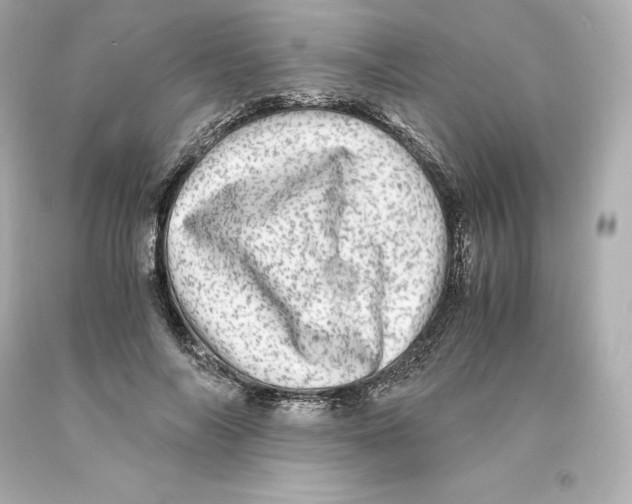 X0000093100694200710241221