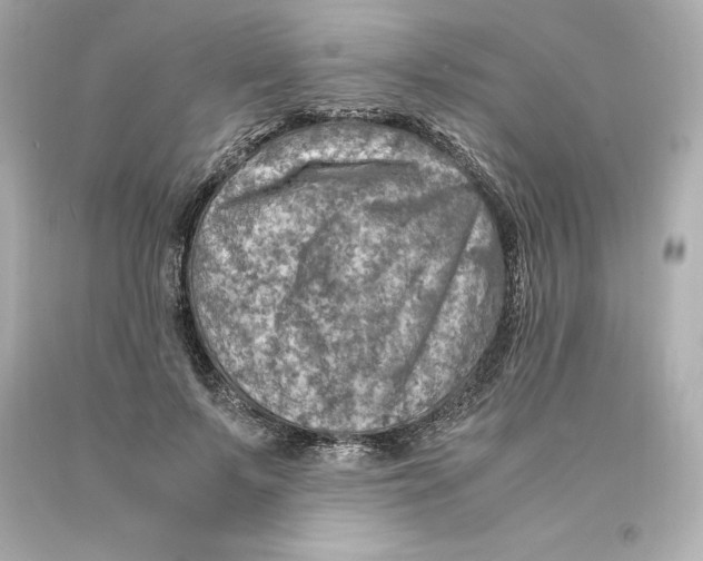 X0000093100695200710241221