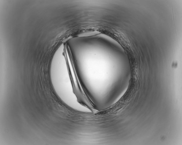 X0000093100697200710241221