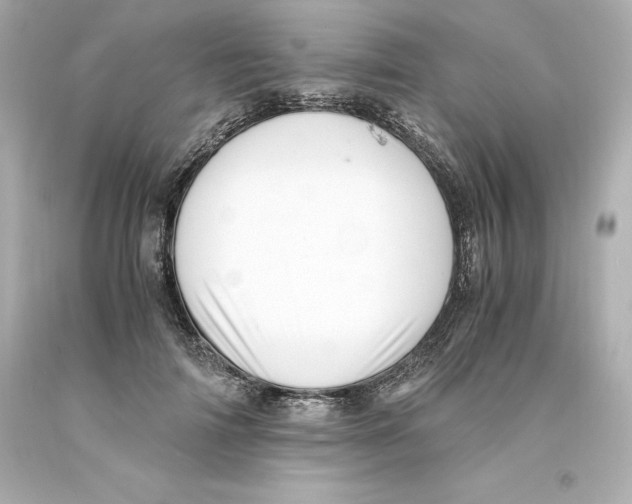 X0000093100698200710241221