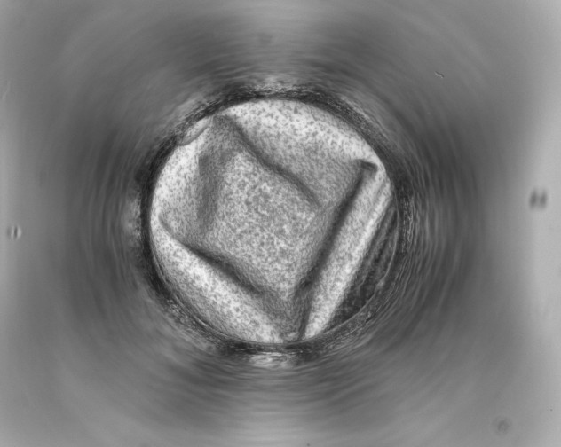 X0000093100700200710241221