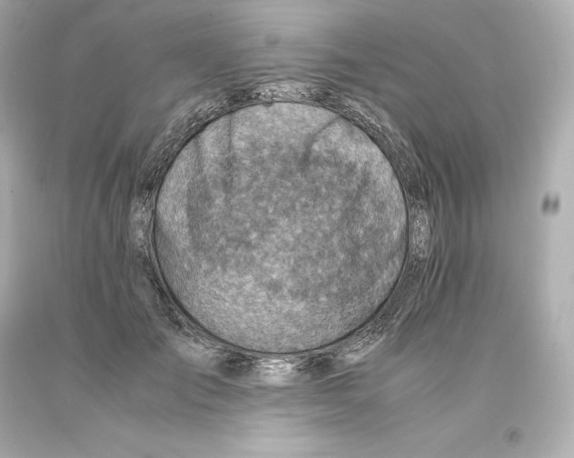 X0000093100701200710241221