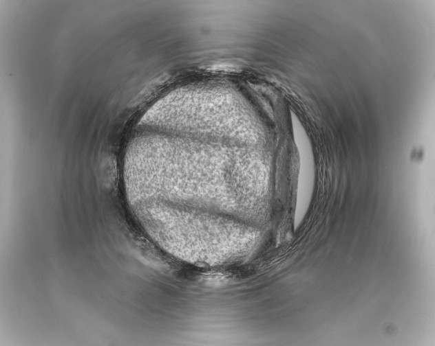 X0000093100704200710241221