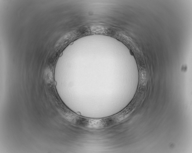 X0000093100705200710241221