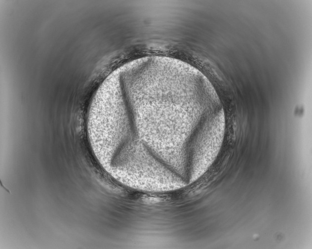 X0000093100706200710241221