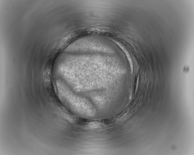 X0000093100708200710241221