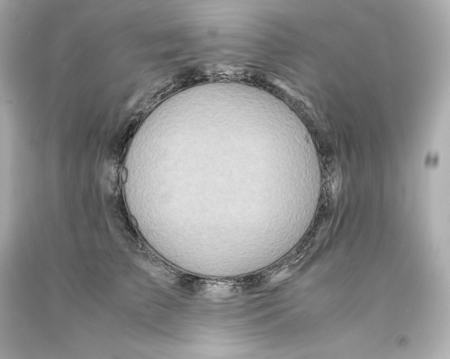 X0000093100709200710241221