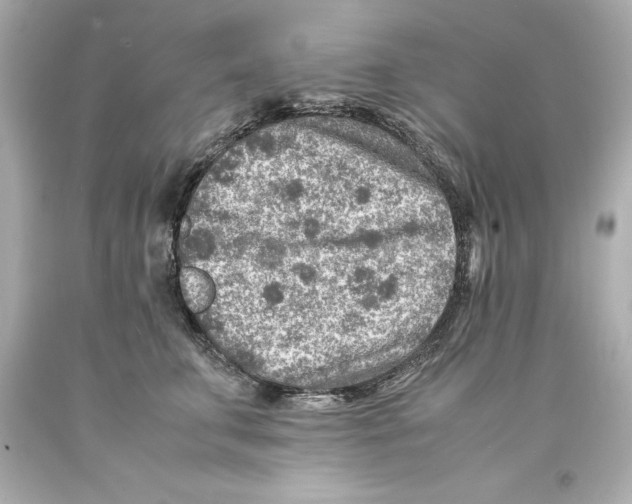 X0000093100711200710241221