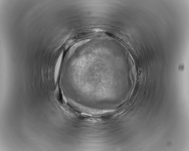 X0000093100712200710241221