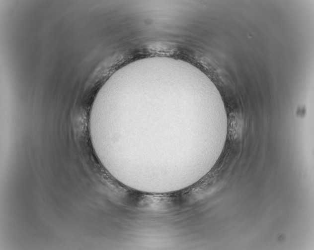 X0000093100713200710241221